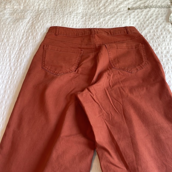 Old Navy Rust Ankle Pants - Picture 4 of 4